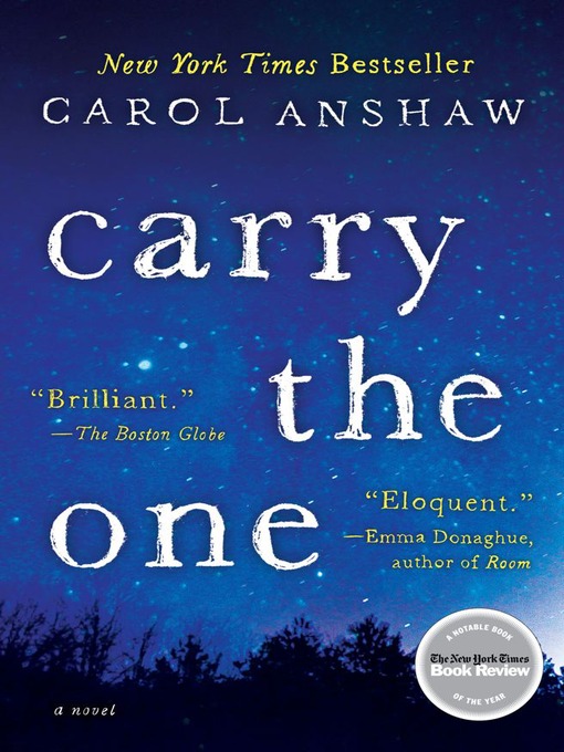 Cover image for Carry the One